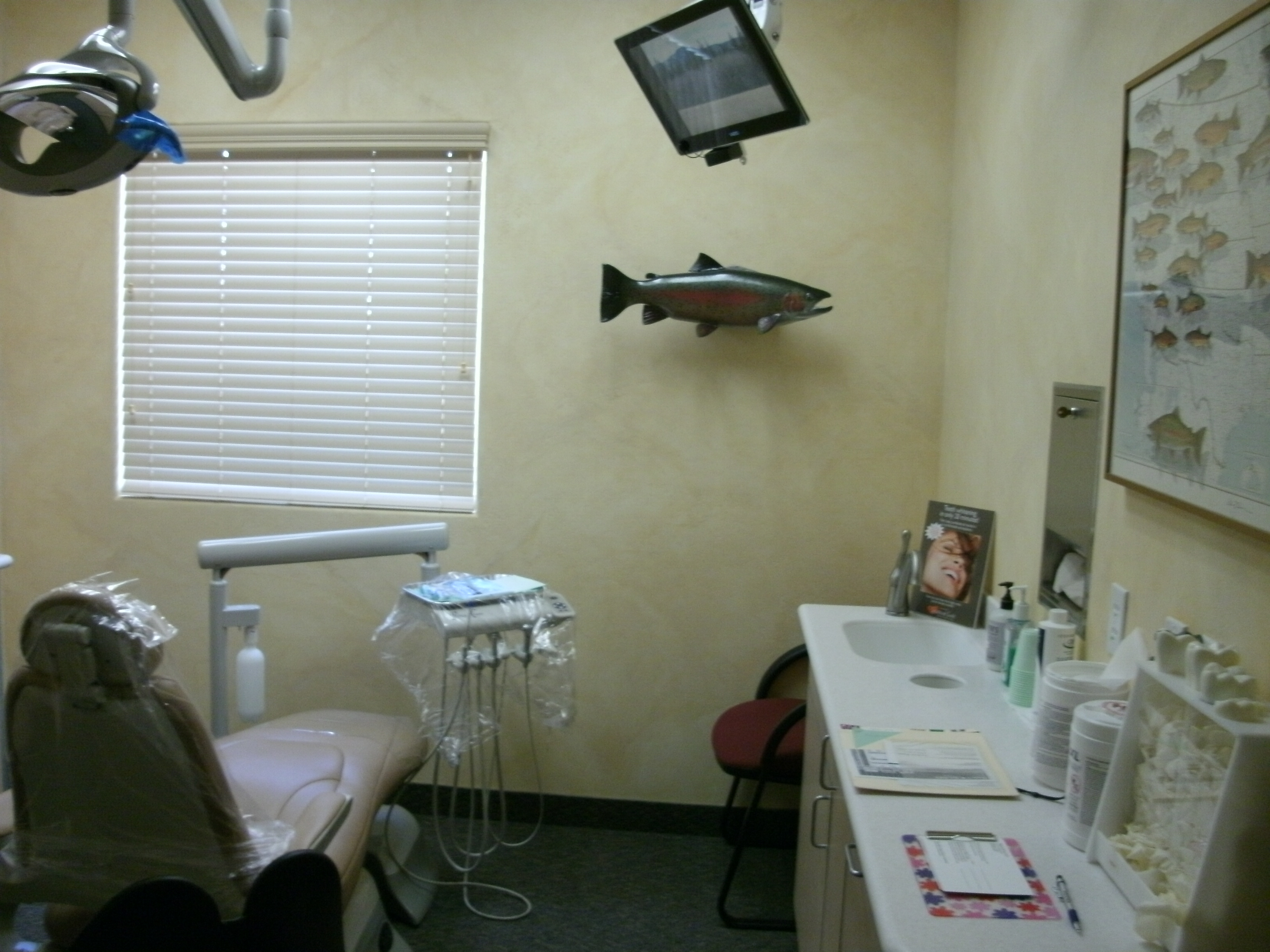 Wayne Syn, DDS | Inlays & Onlays, Veneers and Emergency Treatment